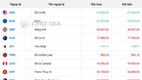 Tỷ giá USD hôm nay 6/11/2025: Giảm trên thị trường tự do
