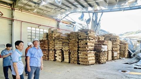 Sở Công Thương Gia Lai đồng hành cùng doanh nghiệp khắc phục thiệt hại