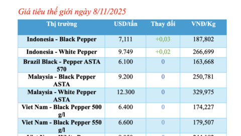 Giá tiêu hôm nay 8/11/2025: Thị trường ổn định