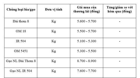 Giá lúa gạo hôm nay ngày 14/11: Gạo xuất khẩu bình ổn, lúa vững giá
