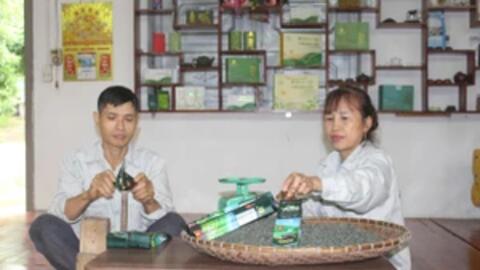 Mô hình trồng chè an toàn giúp nông dân Vô Tranh giảm nghèo bền vững