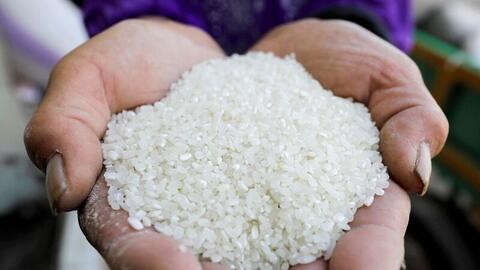 Gạo Việt xoay chuyển linh hoạt giữa áp lực thị trường quốc tế