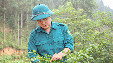 Chàng trai Tày làm giàu từ ớt gió trên cao nguyên đá