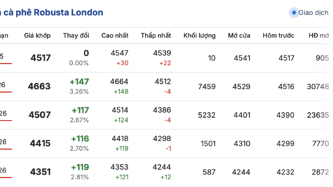 Giá cà phê hôm nay 21/11/2025: Đảo chiều giảm mạnh