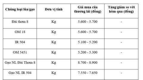 Giá lúa gạo hôm nay ngày 1/12: Thị trường khởi sắc, lúa xu hướng tăng