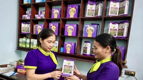 Phú Thọ: Thưởng lớn cho chủ thể đạt OCOP lần đầu