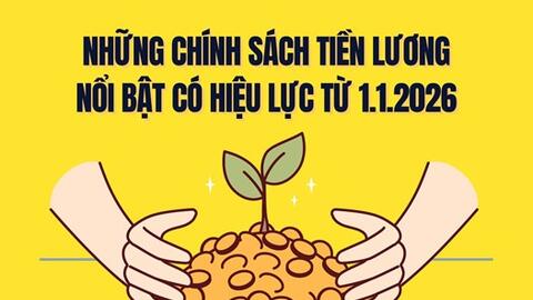 Chính sách gọn lại, hiệu quả bật lên