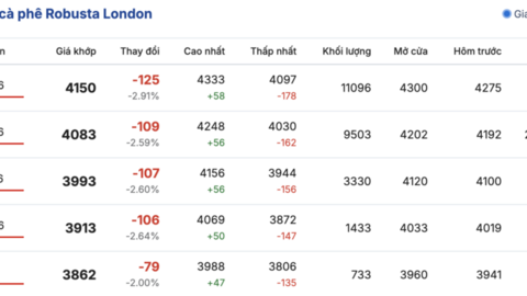 Giá cà phê hôm nay 29/1/2026: Tăng nhẹ 200 - 700 đồng/kg