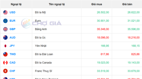 Tỷ giá USD hôm nay 7/2/2026: Trong nước ổn định