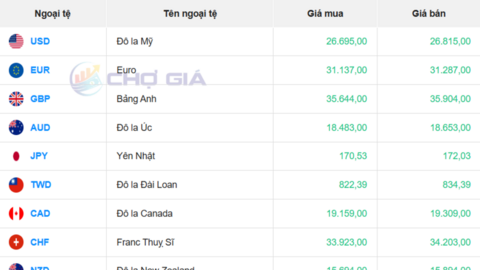 Tỷ giá USD hôm nay 17/2/2026: 'Chợ đen' giảm mạnh chiều mua