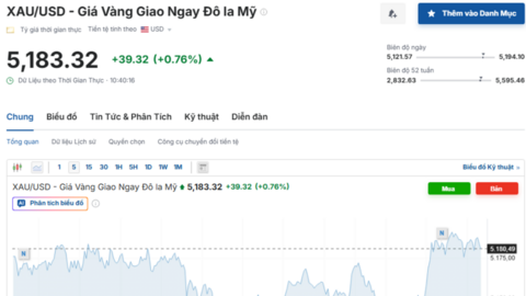 Giá vàng Bảo Tín Mạnh Hải điều chỉnh ra sao trước ngày vía Thần Tài?