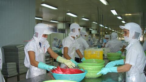 Xung đột Trung Đông: Doanh nghiệp thủy sản đối mặt rủi ro logistics