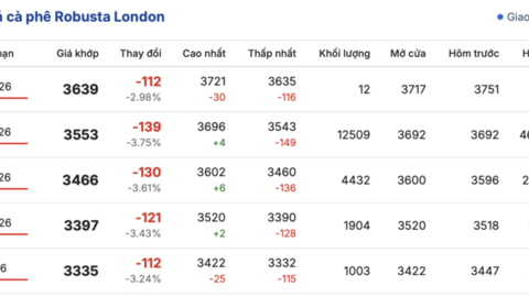 Giá cà phê hôm nay 12/3/2026: Thị trường trong nước giảm nhẹ