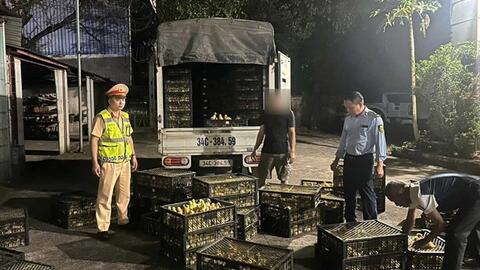 Xác minh, xử lý vụ vận chuyển hơn 13.000 con gà, vịt giống tại Quảng Ninh