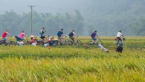 Du lịch Việt Nam cần “kể chuyện” bằng văn hóa bản địa