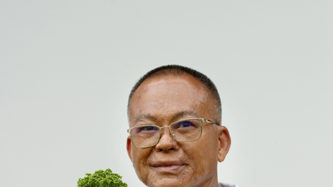 Sâm Ngọc Linh Sơn La: Từ ‘quốc bảo’ đến sinh kế bền vững