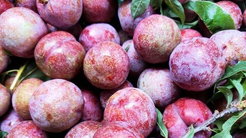 Giá nông sản hôm nay 13/4: Hàng loạt các mặt hàng tăng giá