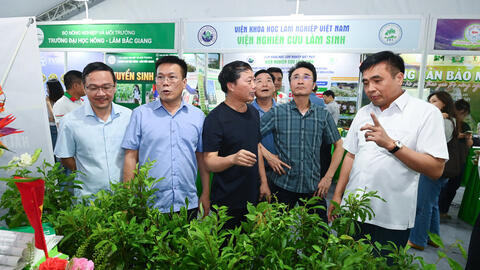 Lai Châu hướng tới chuỗi giá trị nông nghiệp xanh, bền vững