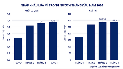 Giá lúa mì tăng vọt, nguồn cung từ Mỹ xuống thấp nhất hơn nửa thế kỷ