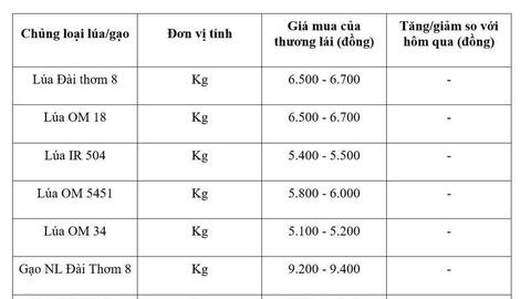 Giá lúa gạo hôm nay ngày 22/5/2026: Gạo xuất khẩu  tăng