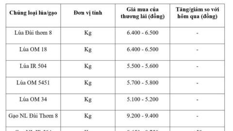 Giá lúa gạo hôm nay ngày 2/6/2026: Gạo nguyên liệu xuất khẩu tăng nhẹ
