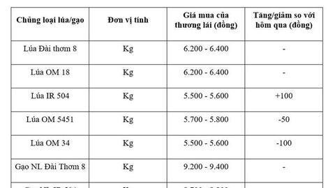Giá lúa gạo hôm nay ngày 22/6: Lúa tươi biến động nhẹ