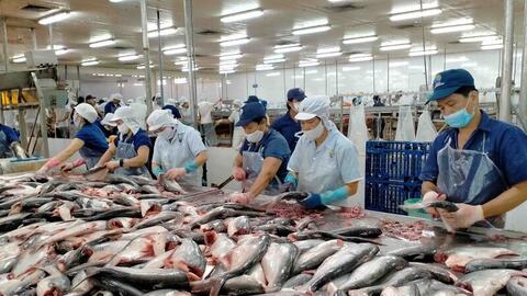 EVFTA giúp thủy sản Việt giữ vững kim ngạch tỷ USD tại thị trường EU
