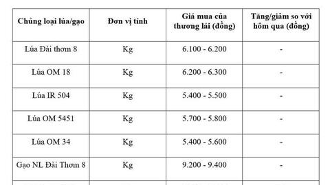 Giá lúa gạo hôm nay ngày 3/7/2026: Gạo xuất khẩu đồng loạt tăng