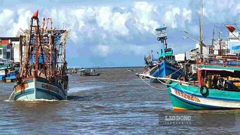 Nhiều cửa biển ở Cà Mau bồi lắng, tàu cá khó ra khơi