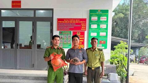 Cá thể tê tê mắc lưới trong rẫy được người dân giao nộp kiểm lâm