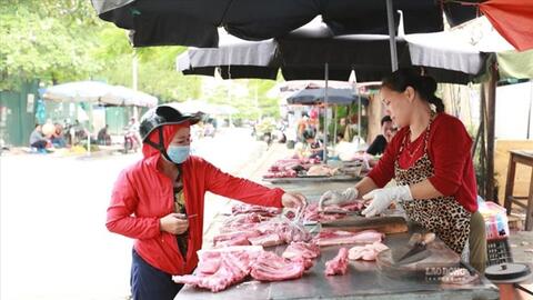 Giá heo hơi hôm nay 28.8: Tiếp đà giảm, thấp nhất là 57.000 đồng/kg