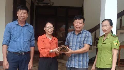 Tiếp nhận 3 cá thể động vật hoang dã để cứu hộ
