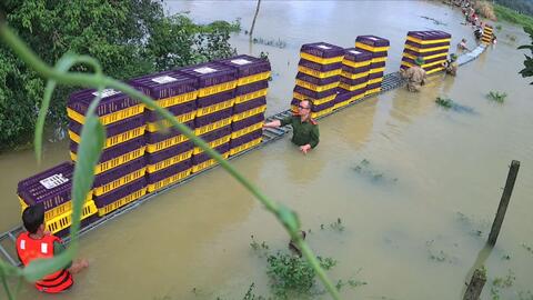 Công an lắp băng chuyền, đưa 45.000 con gà khỏi vùng ngập