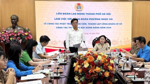 Hoàn thành cập nhật dữ liệu 100% đoàn viên mới trên hệ thống iHanoi