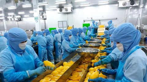 Ngân hàng khơi thông dòng vốn, tiếp sức động lực tăng trưởng hai tỉnh An Giang và Cà Mau
