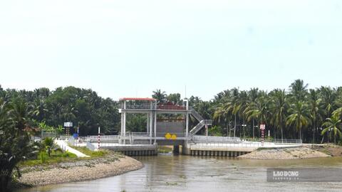 Vĩnh Long lên 3 kịch bản ứng phó hạn mặn mùa khô 2026 - 2027