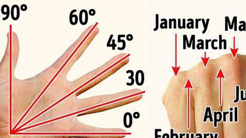 9 sự thật thú vị về cuộc sống khiến ai cũng ngỡ ngàng, số 1 biết rồi đảm bảo giơ tay thử luôn