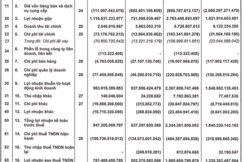 Phát Đạt (PDR) lãi kỷ lục 751 tỷ đồng quý 4, nâng tổng lợi nhuận sau thuế cả năm lên 1.860 tỷ đồng