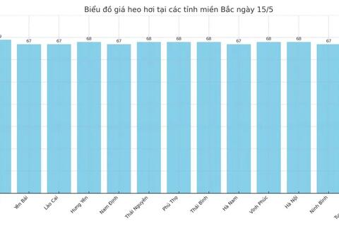 Giá heo hơi hôm nay 15/5/2025: Cao nhất 75.000 đồng/kg