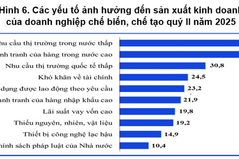 Số doanh nghiệp thành lập mới trong tháng 6 tăng 60,5% so với cùng kỳ
