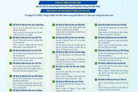 Tổ chức bộ máy Công ty Điện lực Bắc Ninh từ 1.7