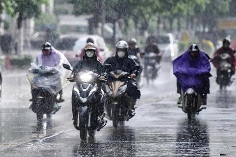 Dự báo thời tiết ngày 15/8: Mưa dông xuất hiện trên cả nước