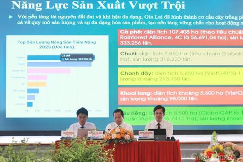 Cơ hội lớn cho nông sản Gia Lai tại thị trường Trung Quốc