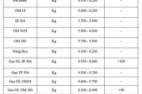 Giá lúa gạo hôm nay ngày 19/8: Gạo xuất khẩu tiếp đà tăng, lúa vững giá