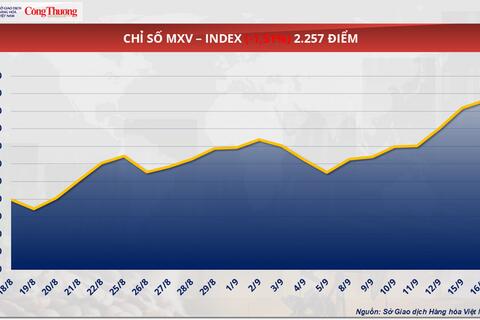 Giá cà phê thế giới giảm mạnh, Arabica xuống dưới 8.300 USD/tấn