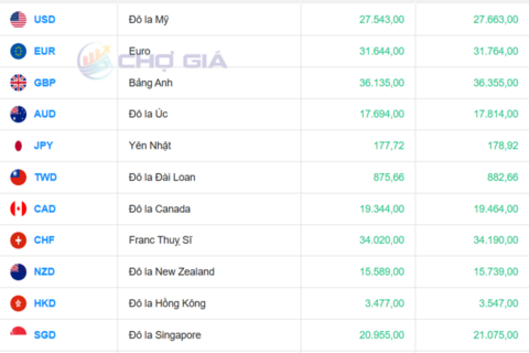 Tỷ giá USD hôm nay 28/10/2025: Chợ đen đi ngang, ngân hàng ổn định