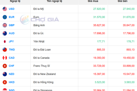 Tỷ giá USD hôm nay 6/11/2025: Giảm trên thị trường tự do