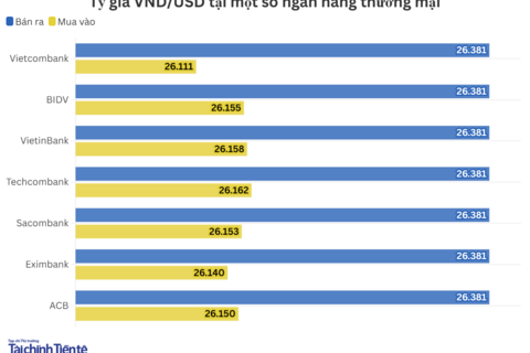 Ngày 13/11: Tỷ giá trung tâm giảm 4 đồng