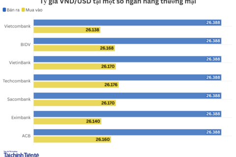 Ngày 18/11: Tỷ giá trung tâm tăng 12 đồng