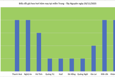 Giá heo hơi hôm nay 20/11/2025: Tiếp đà tăng giá